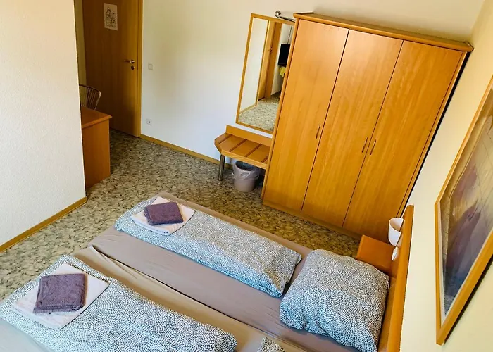 Schildkroete Grünheide